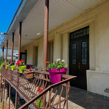 Guesthouse Kostava 72 Kazbegi Kültér fotó
